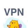 VPN service VPN Beaver Proxy icon