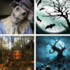 Halloween Wallpaper: HD images, Free Pics download icon