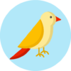 What kind of bird are you? Test icon