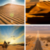 Desert HD Wallpapers icon