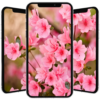 Spring Wallpaper 🌸 🌹 🌺 🌻 🌼 🌷 icon