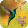 Birds jigsaw puzzle icon