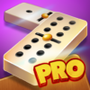 Dominoes Pro | Play Offline or Online With Friends icon