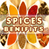 Spices Benefits icon