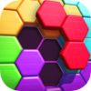 Hexa Puzzle Hero icon