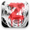 Zombie Wars: Apocalypse CCG icon