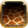 Animal Print Wallpaper icon