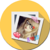 Photo Sticker And Editor icon