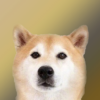 Doge Wallpapers icon