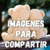 Imágenes para compartir icon