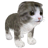 Talking friend. Kitten 3d icon