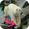 Ice Polar Bear Skating icon