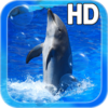 Animal Dolphin Live Wallpaper icon