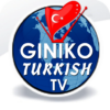 Giniko Turkish TV Live & DVR icon