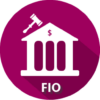 FIO Recovery of Finances 2001 icon