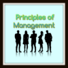 Principles Of Management icon