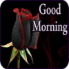 Good Morning Messages & Images with Flowers Roses icon