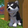 Cute Pocket Puppy 3D Part 2 icon