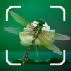 Insect Spider & Bug identifier icon