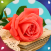 Rose Flower Live Wallpapers icon