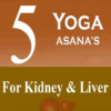 5 Yoga Poses Kidney & Liver icon