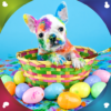 Sweet Animals Live Wallpapers icon