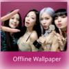 400+ BlackPink Wallpaper Offline 2020 HD icon