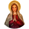 Virgen Maria icon