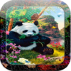 Panda Paradise Live Wallpaper icon