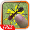 Smash And Kill Ants Bugs Free icon