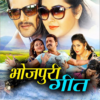 Bhojpuri Songs ( All Songs ) icon