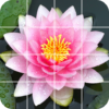 Tile Puzzle: beautiful flowers icon