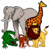 Learn Tamil Wildlife and Body Parts Names icon