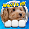 Guess it! Zoom Pic Trivia Game icon