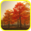 Colorful Autumn Live Wallpaper icon