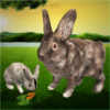 Ultimate Rabbit Simulator icon