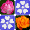 Pairs Flowers icon