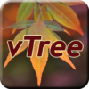 Virginia Tech Tree ID icon