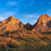 ORO VALLEY AZ BIRD SONGS icon