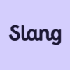 Slang: Professional English icon