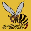 Hornets RFC icon