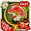 Challenge #175 Wonder World New Hidden Object Game icon