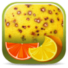 Citrus Diseases Key icon