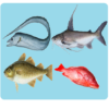 Sea Animals Names icon