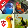 100 Bird sounds icon