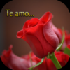 Flores con frases de amor icon