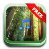 Nature Forest Sounds Relax icon