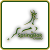 SpringBok Online Slots Games icon