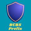 BCBS Prefix V1 icon