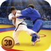 Judo Fighting Tiger 3D icon